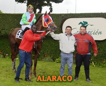 ejemplar ALARACO