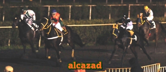 alcazad