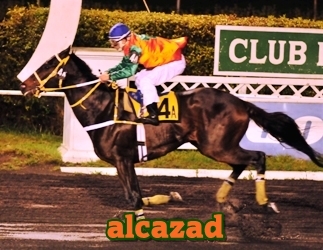 alcazad