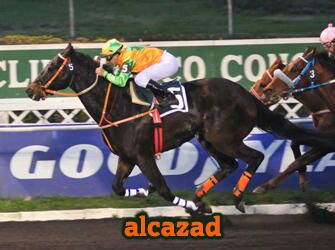 alcazad