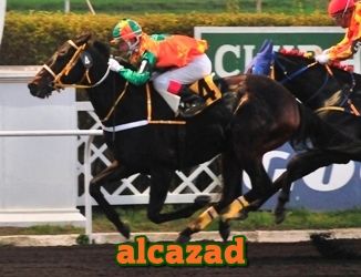 alcazad