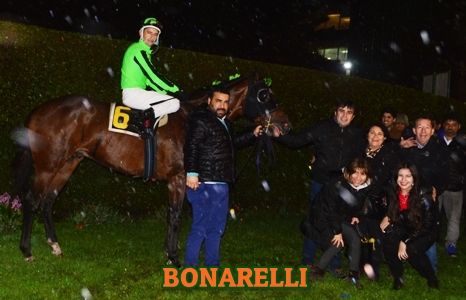 ejemplar BONARELLI