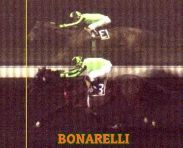 ejemplar BONARELLI