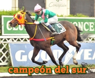 campeon del sur