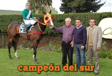 campeon del sur