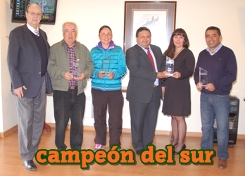 campeon del sur