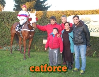 catforce