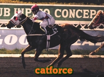 catforce