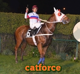 catforce