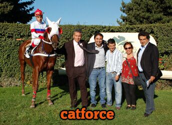 catforce