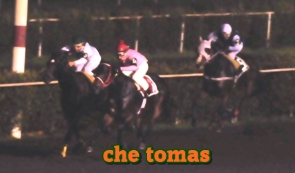 che tomas