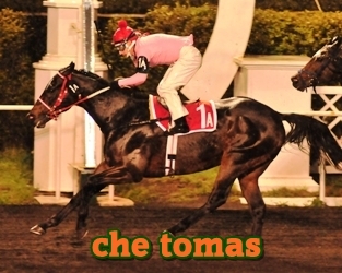 che tomas