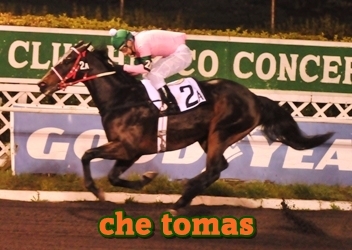 che tomas