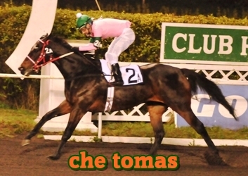 che tomas