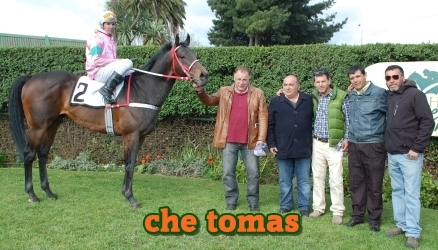 che tomas