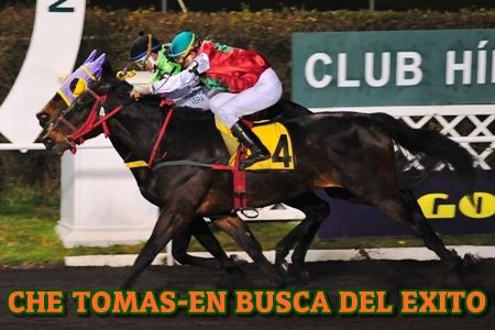 ejemplar CHE TOMAS y EN BUSCA DEL EXITO empate hpico