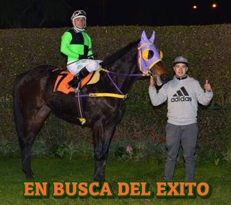 ejemplar CHE TOMAS y EN BUSCA DEL EXITO empate hpico