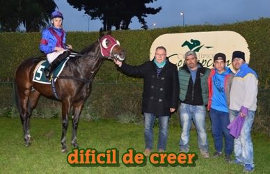 ejemplar caballo dificil de creer