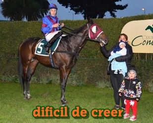 ejemplar caballo dificil de creer