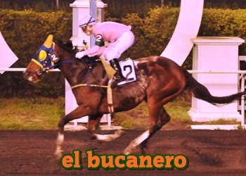 el bucanero