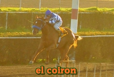 el coiron