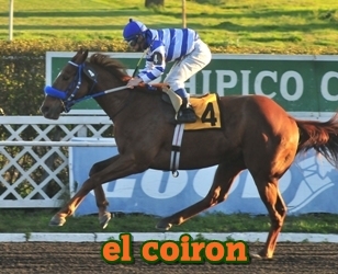 el coiron