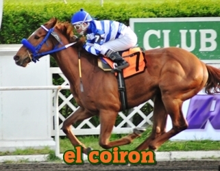 el coiron