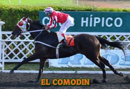 ejemplar EL COMODIN