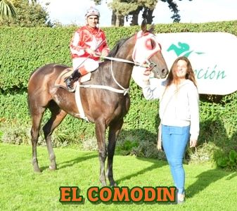 ejemplar EL COMODIN