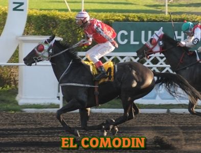 ejemplar EL COMODIN