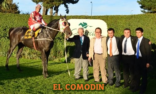 ejemplar EL COMODIN