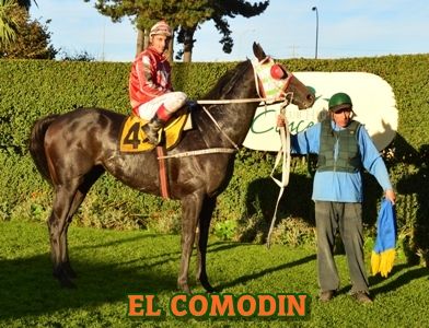 ejemplar EL COMODIN