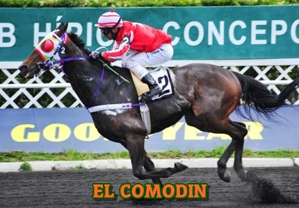 ejemplar EL COMODIN