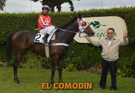 ejemplar EL COMODIN