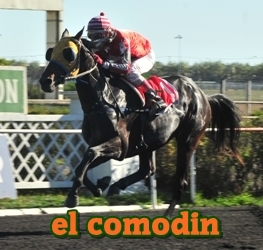 el comodn