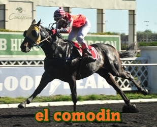 el comodn