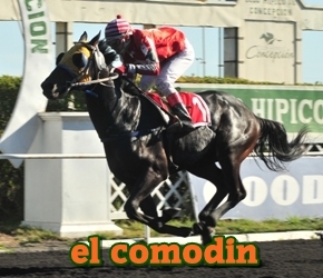 el comodn