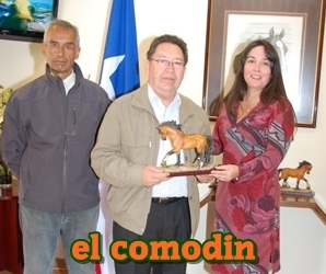 el comodn