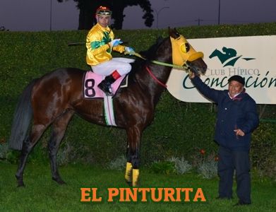 ejemplar EL PINTURITA