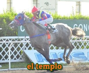 ejemplar caballo el templo