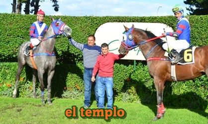 ejemplar caballo el templo