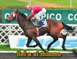 ejemplar caballo fiel a si mismo