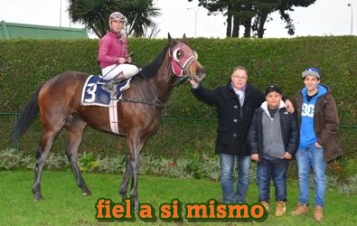 ejemplar caballo fiel a si mismo