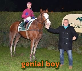 ejemplar caballo genial boy