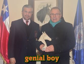 ejemplar caballo genial boy