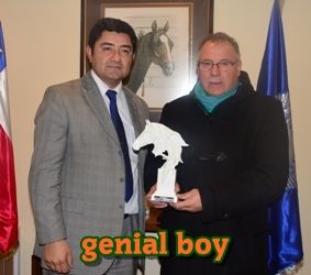 ejemplar caballo genial boy