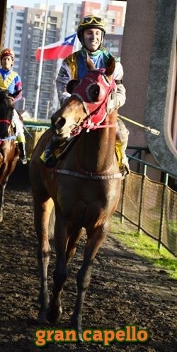 ejemplar caballo gran capello y por ti josefa empate