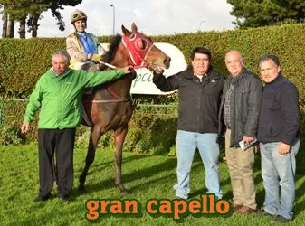 ejemplar caballo gran capello y por ti josefa empate