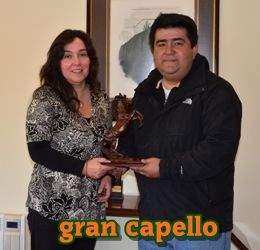 ejemplar caballo gran capello y por ti josefa empate