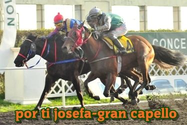 ejemplar caballo gran capello y por ti josefa empate